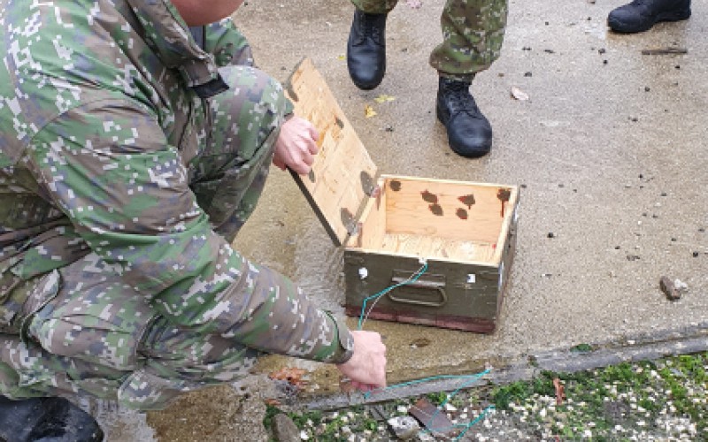 Pracovné zamestnanie v Novákoch