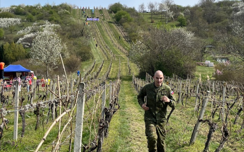 12-hodinový charitatívny beh vinohradom