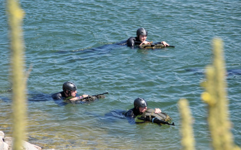 Obsadenie vodnej nádrže Liptovská Mara