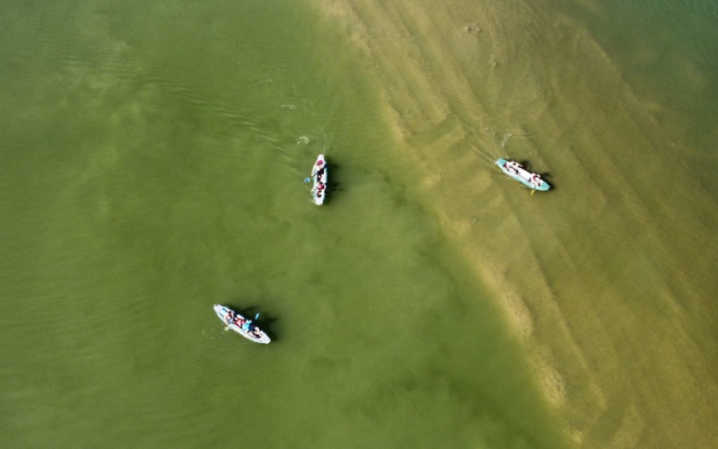 Obsadenie vodnej nádrže Liptovská Mara