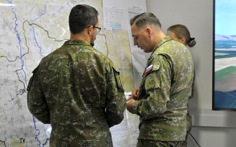 BLONDE AVALANCHE 2025