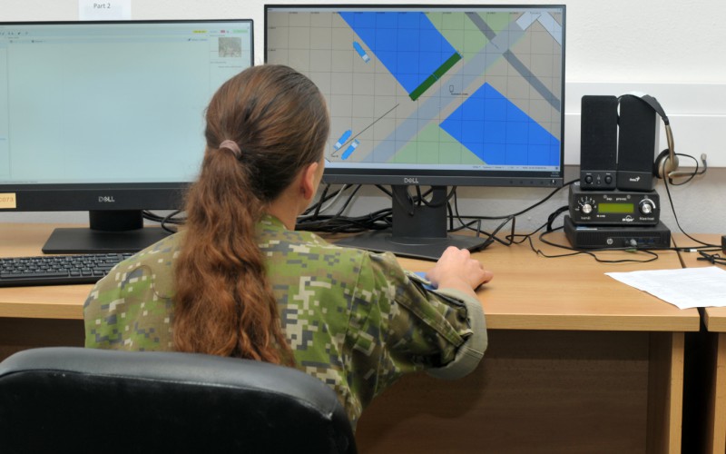 BLONDE AVALANCHE 2025