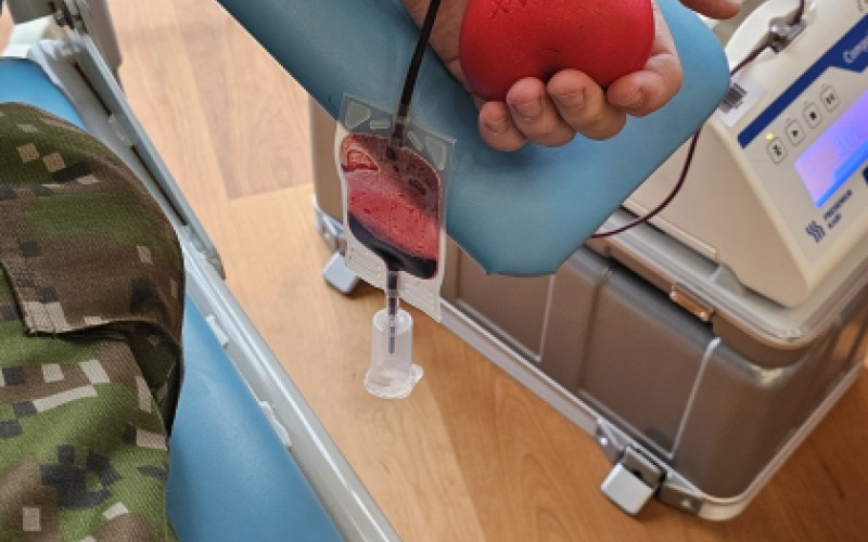 17. november – Deň boja za slobodu a demokraciu na AOS