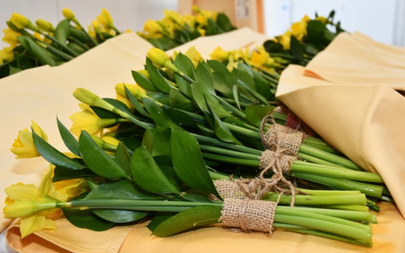 Medzinárodný deň žien na AOS