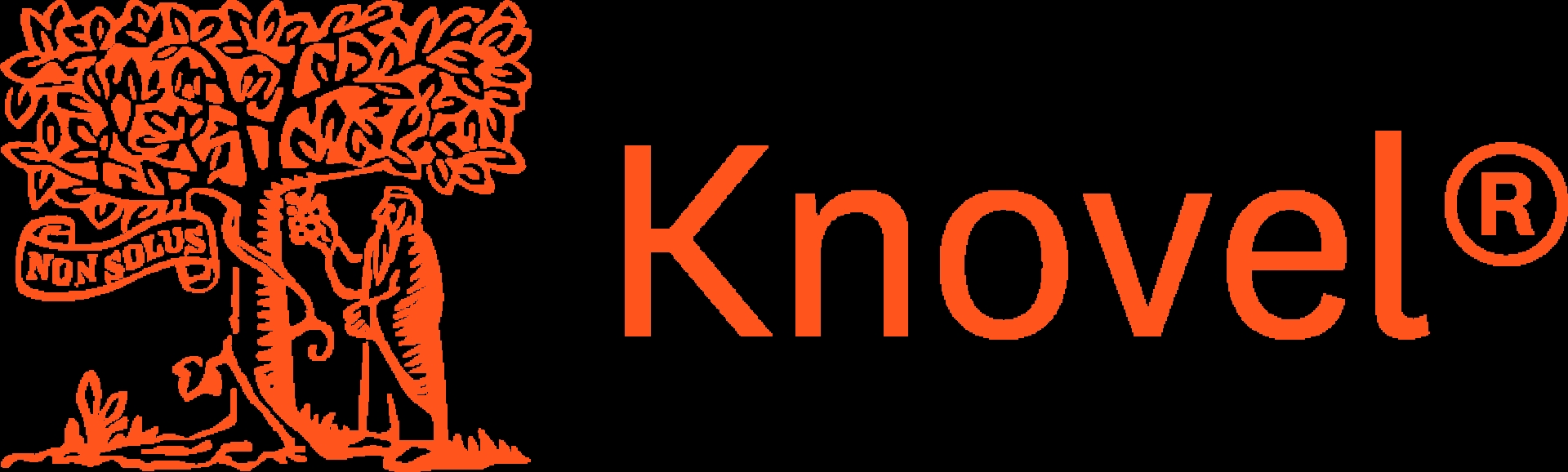 Webinár: Využite naplno AI a interaktívne nástroje v Knoveli