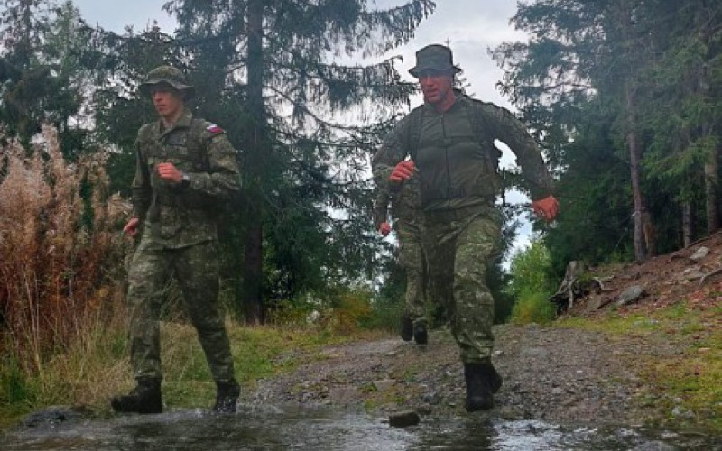 German Armed Forces Badge for Military Proficiency