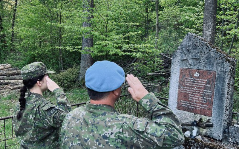 Pochod pri príležitosti víťazstva nad fašizmom