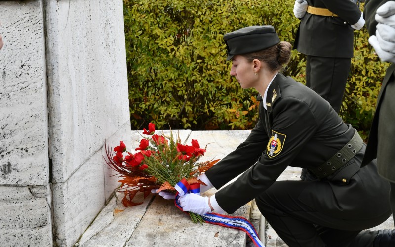 Medzinárodný deň vojnových veteránov 11. 11. 2025