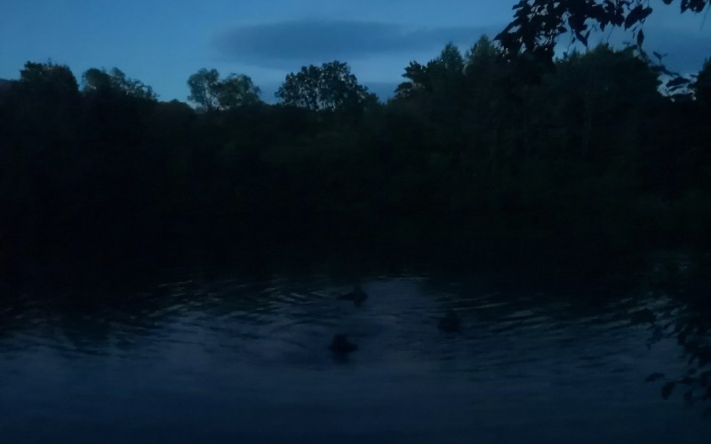 COMBAT SWIMMER 2022 Course, July 15th 2022