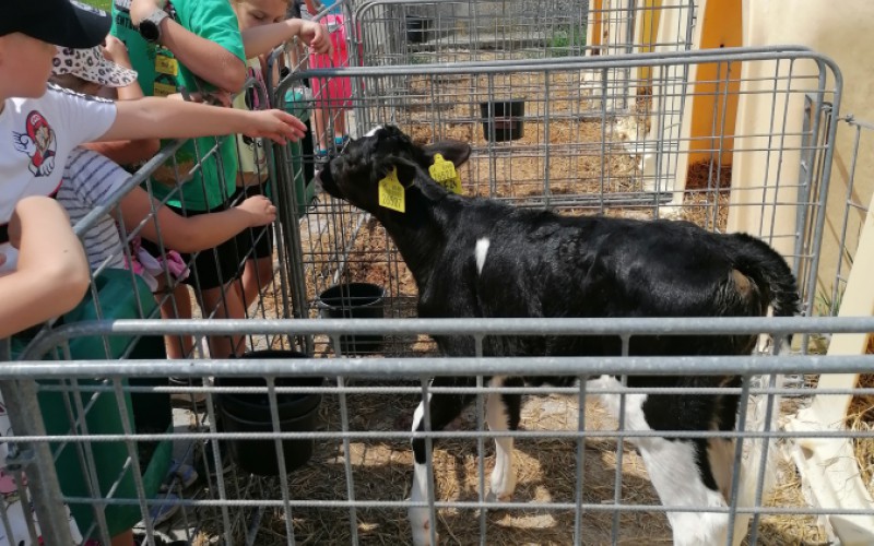 Denný biblický tábor v Akadémii ozbrojených síl