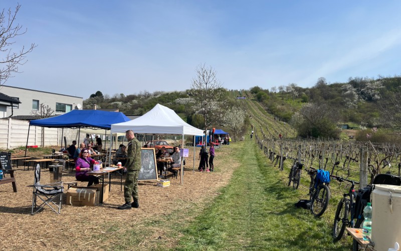 12-hodinový charitatívny beh vinohradom