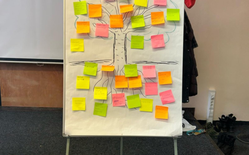 Psychologická prvá pomoc ako súčasť DPŠ