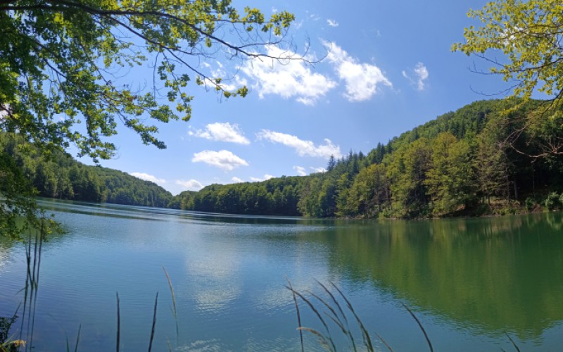 Špeciálny telesný výcvik telovýchovných pracovníkov OS SR – jún 2025