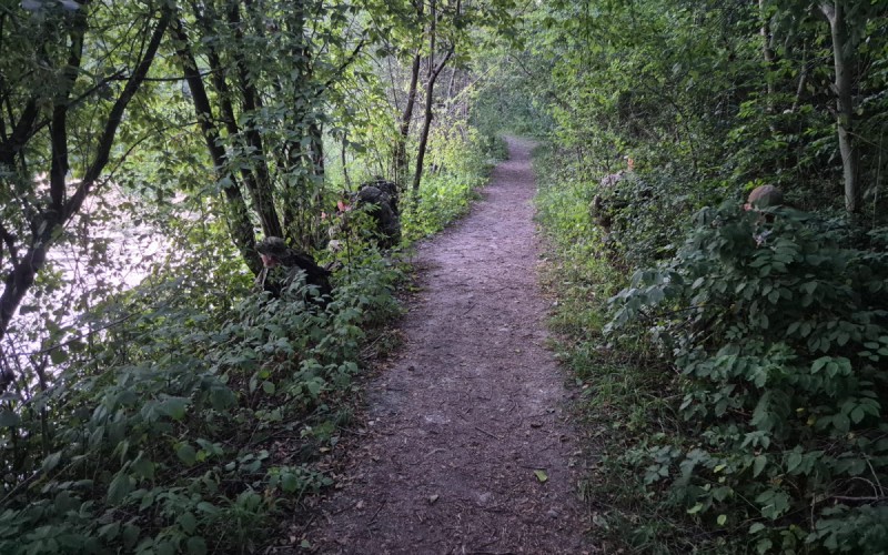 Špeciálny výcvik prieskumných jednotiek pod vedením KTVŠ AOS