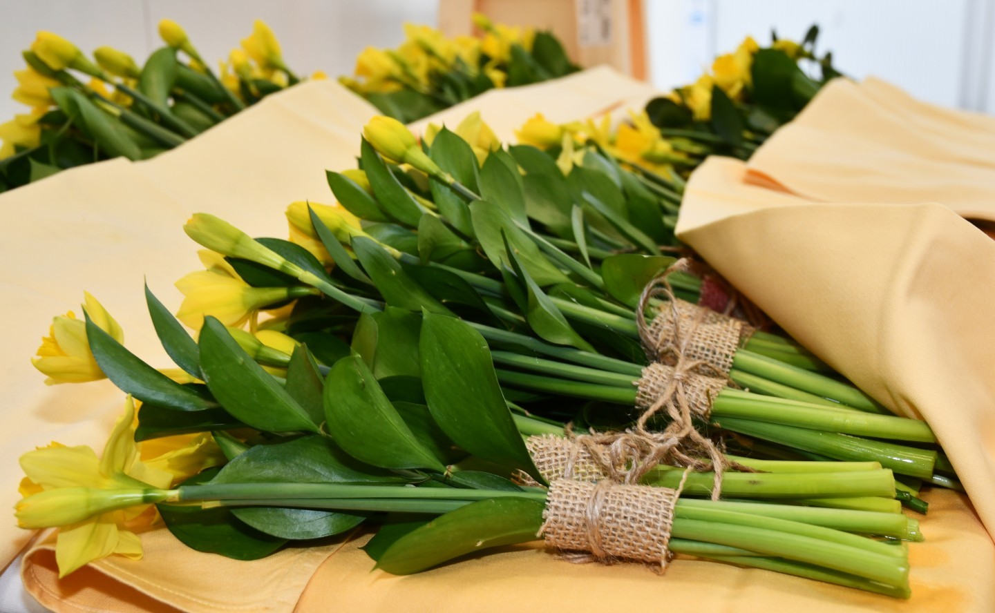 Medzinárodný deň žien na AOS