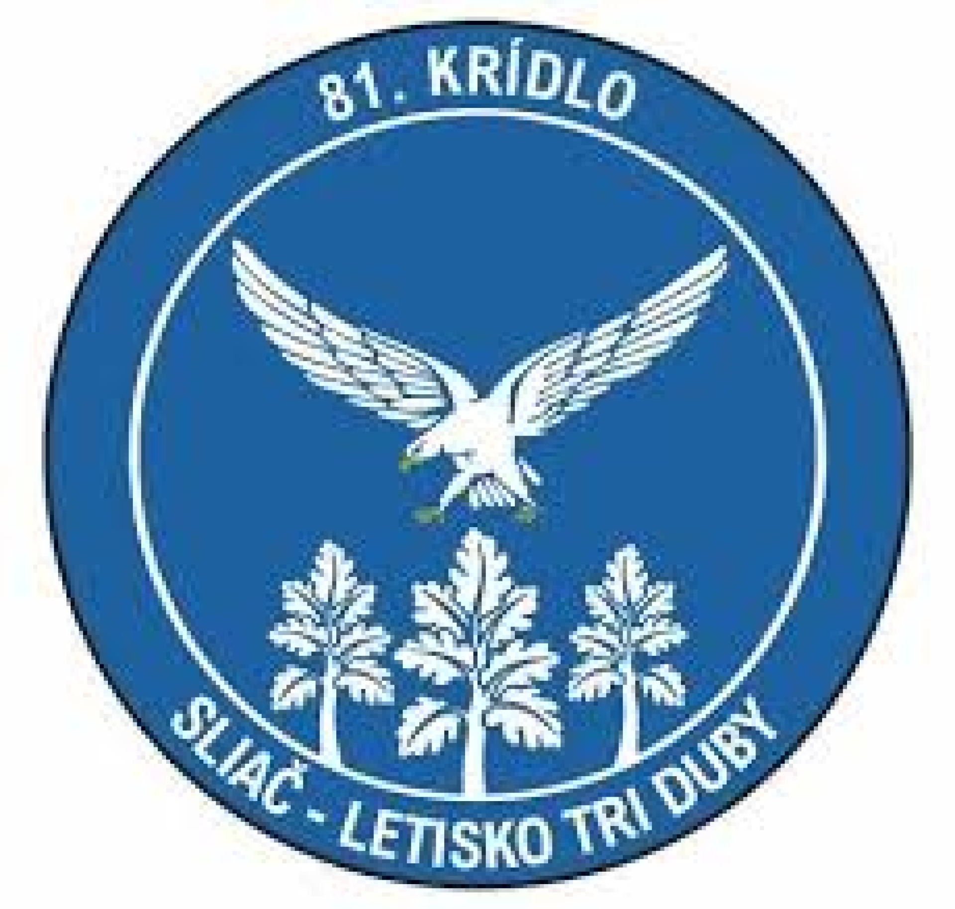 VÝCVIK LETISKA SLIAČ NA SIMULAČNOM CENTRE AOS