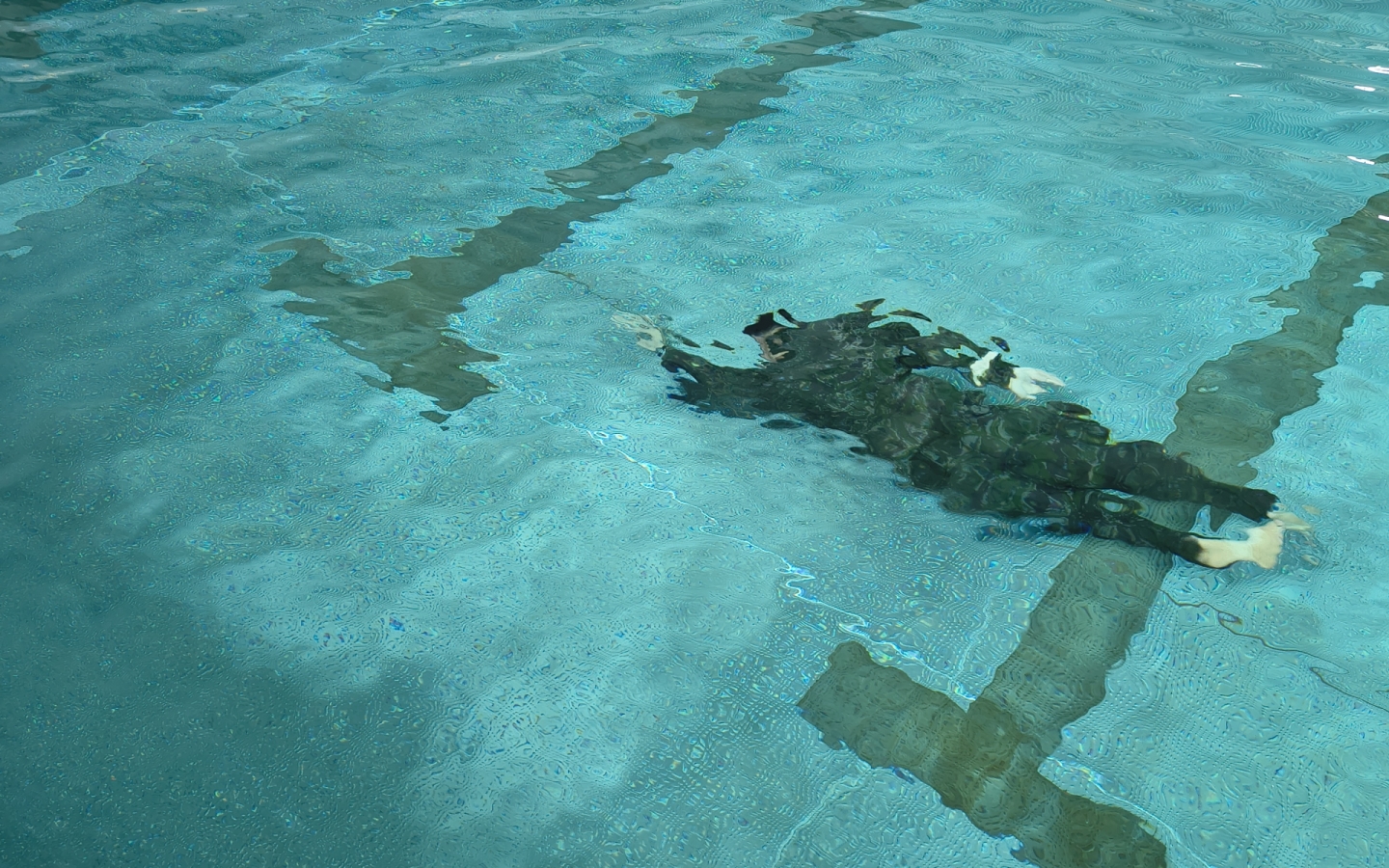 Kurz Combat Swimmer 2026 úspešne pripravil nových cvičiteľov a inštruktora vojensko-praktického plávania