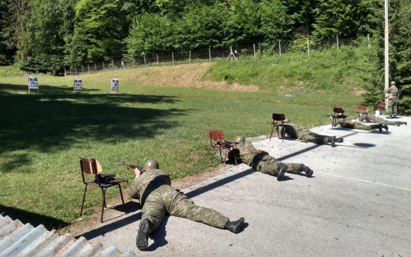 Teoretické a praktické zamestnania profesionálnych vojakov  AOS