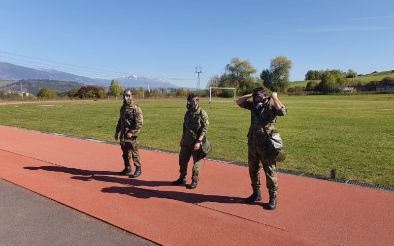 German Armed Forces Badge for Military Proficiency