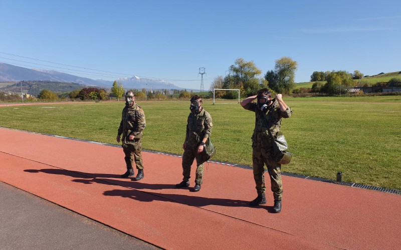 Odznak nemeckých ozbrojených síl za vojenskú spôsobilosť