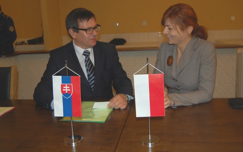 Aktuálne problémy prípravy príslušníkov ozbrojených síl, bezpečnostných a záchranných zborov z pohľadu sociálno-psychologických aspektov