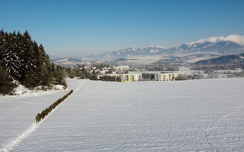 Ski training for cadets, February 13th - 24th 2023