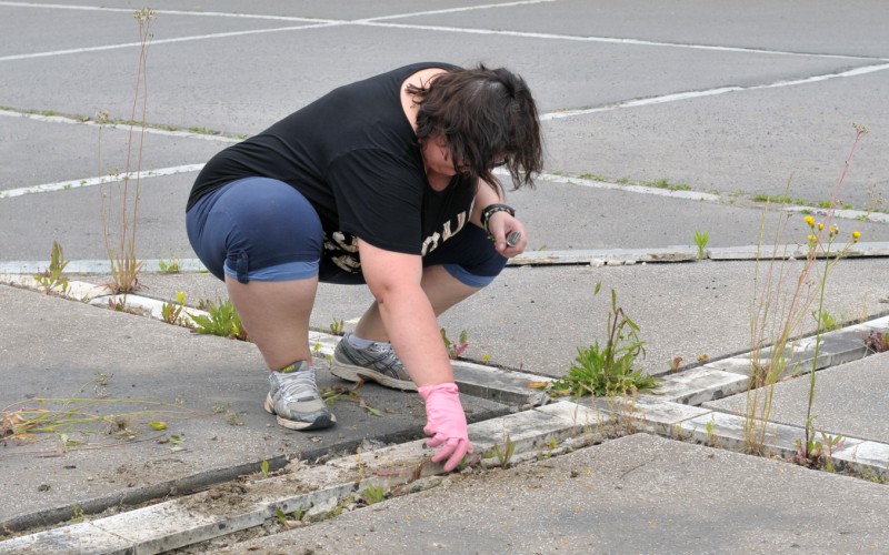 Voluntary works of the employees, June 21st 2023