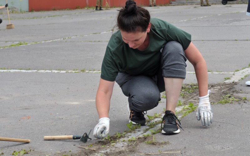 Voluntary works of the employees, June 21st 2023