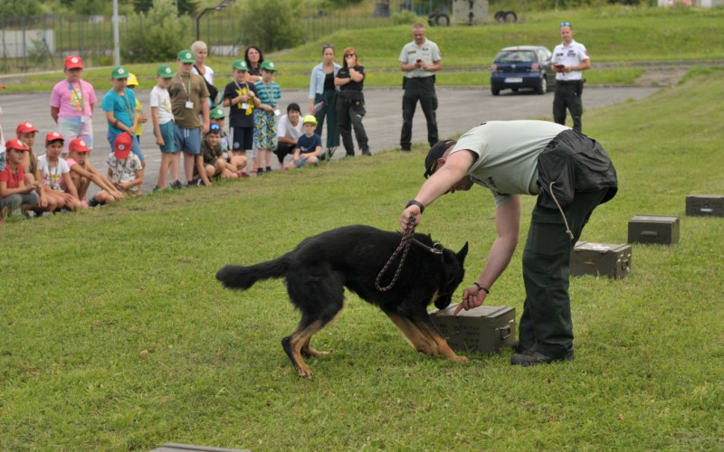 Detská univerzita, štvrtok, 20. 07. 2023