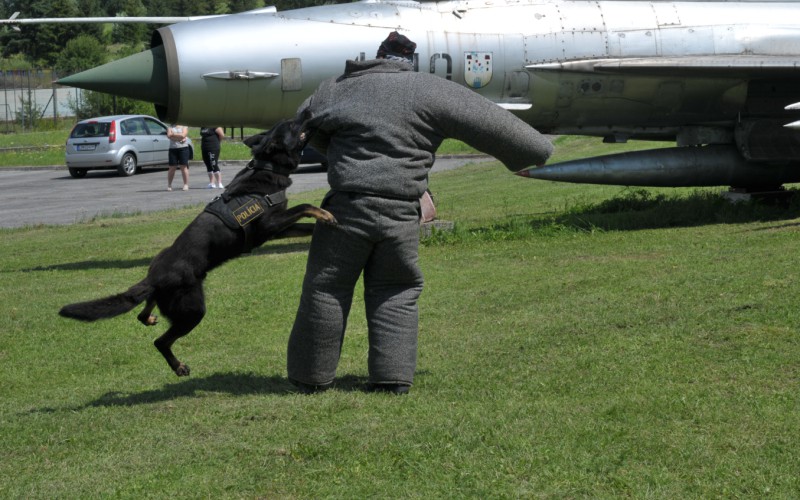 Detská univerzita, štvrtok, 20. 07. 2023