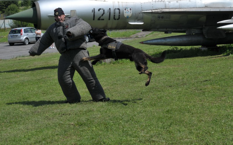 Detská univerzita, štvrtok, 20. 07. 2023