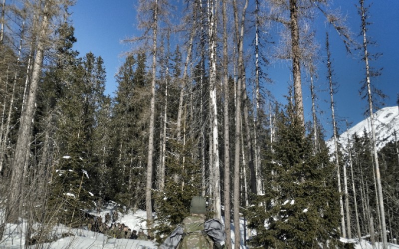 Overovacia fáza projektu o vedení hybridných vojen, 06. 02. 2024