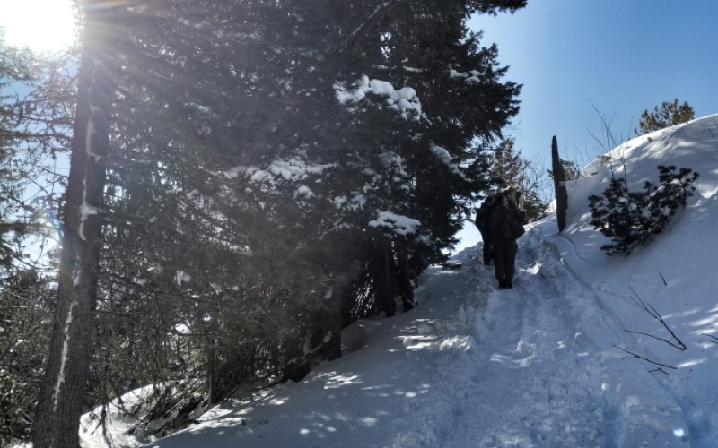 Overovacia fáza projektu o vedení hybridných vojen, 06. 02. 2024