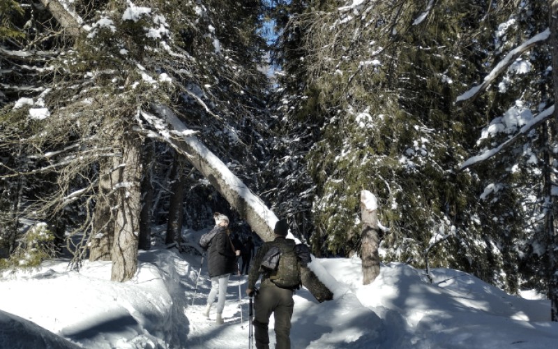 Overovacia fáza projektu o vedení hybridných vojen, 06. 02. 2024