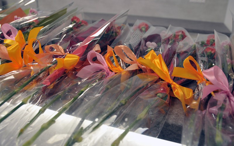 Medzinárodný deň žien v AOS, 08. 03. 2024