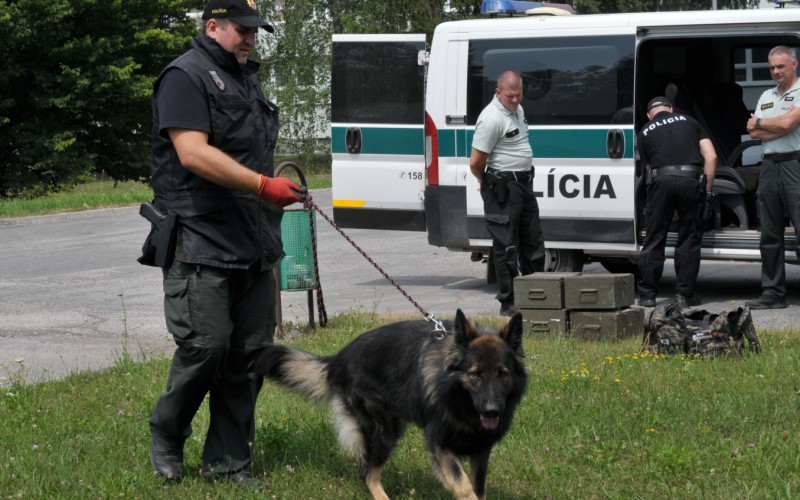 Detská univerzita, utorok - 16. 07. 2024