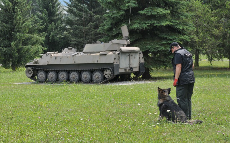 Detská univerzita, utorok - 16. 07. 2024