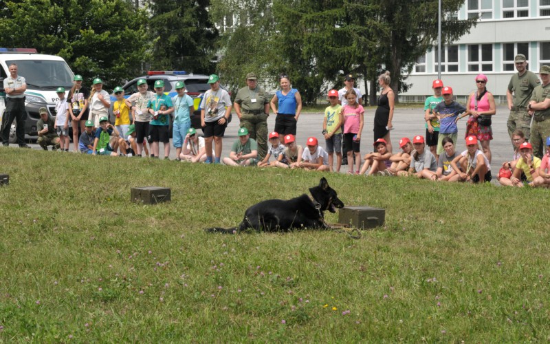 Detská univerzita, utorok - 16. 07. 2024