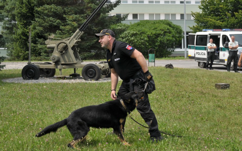 Detská univerzita, utorok - 16. 07. 2024