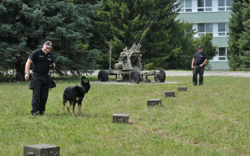 Detská univerzita, utorok - 16. 07. 2024