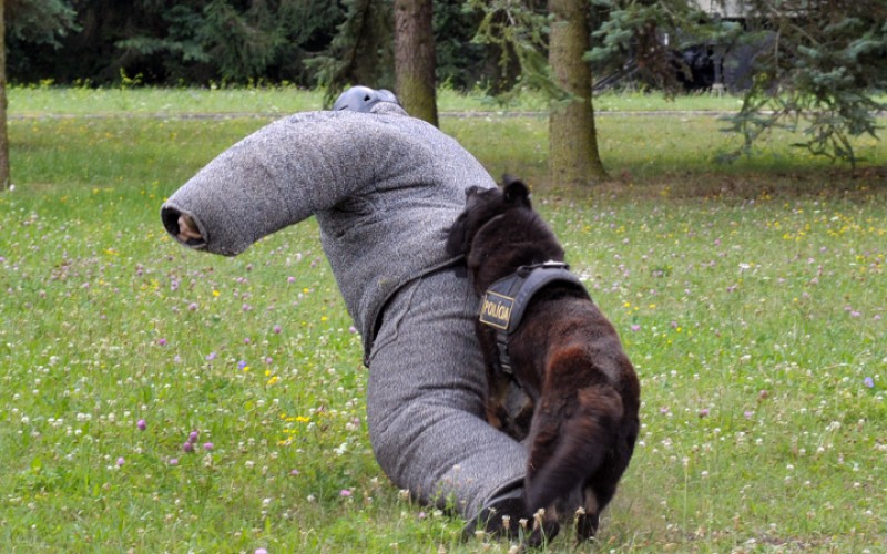 Detská univerzita, utorok - 16. 07. 2024