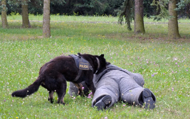 Detská univerzita, utorok - 16. 07. 2024