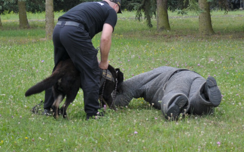 Detská univerzita, utorok - 16. 07. 2024