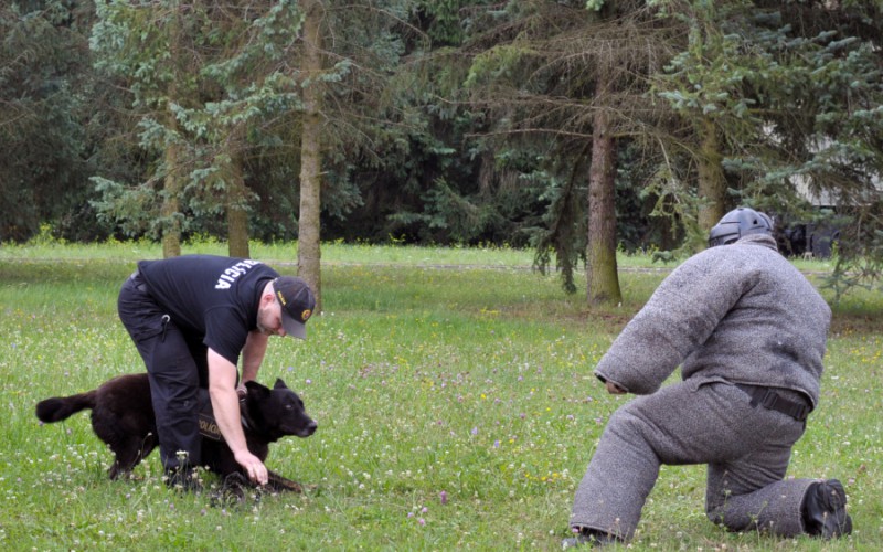 Detská univerzita, utorok - 16. 07. 2024