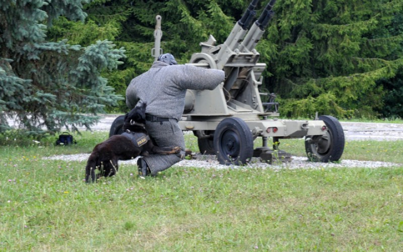 Detská univerzita, utorok - 16. 07. 2024