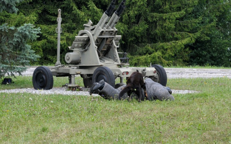 Detská univerzita, utorok - 16. 07. 2024