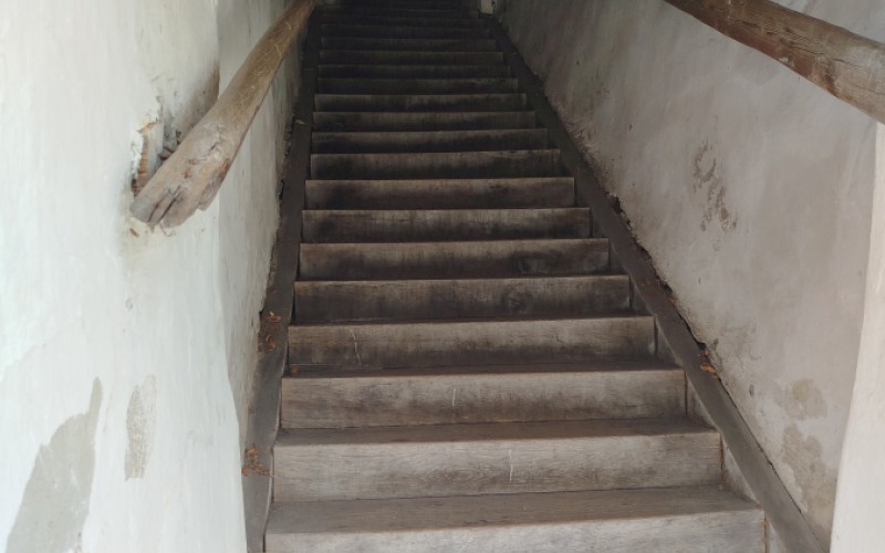 Detská univerzita, streda - 17. 07. 2024