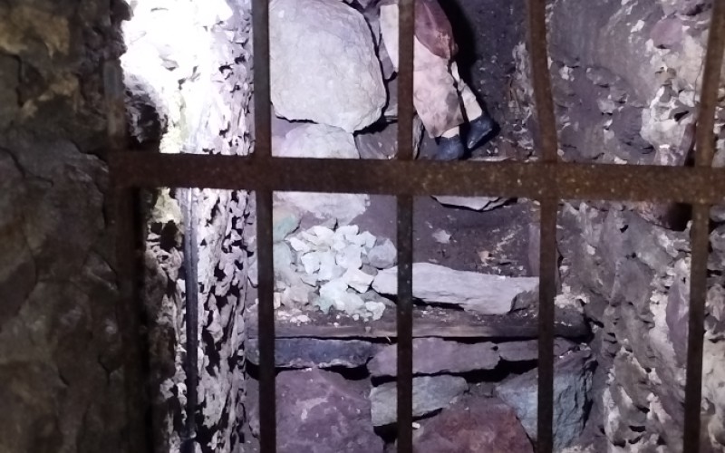 Detská univerzita, streda - 17. 07. 2024