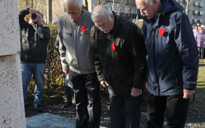 Medzinárodný deň vojnových veteránov, 11. 11. 2024