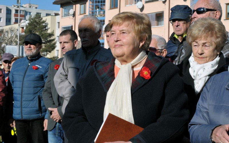 Medzinárodný deň vojnových veteránov, 11. 11. 2024